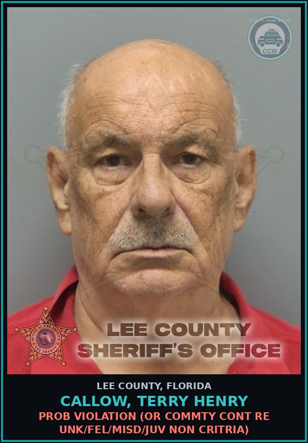 Booking mugshot of CALLOW, TERRY HENRY in Lee County