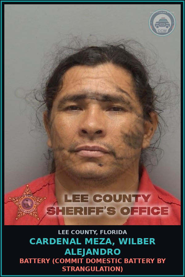 Booking mugshot of CARDENAL MEZA, WILBER ALEJANDRO in Lee County