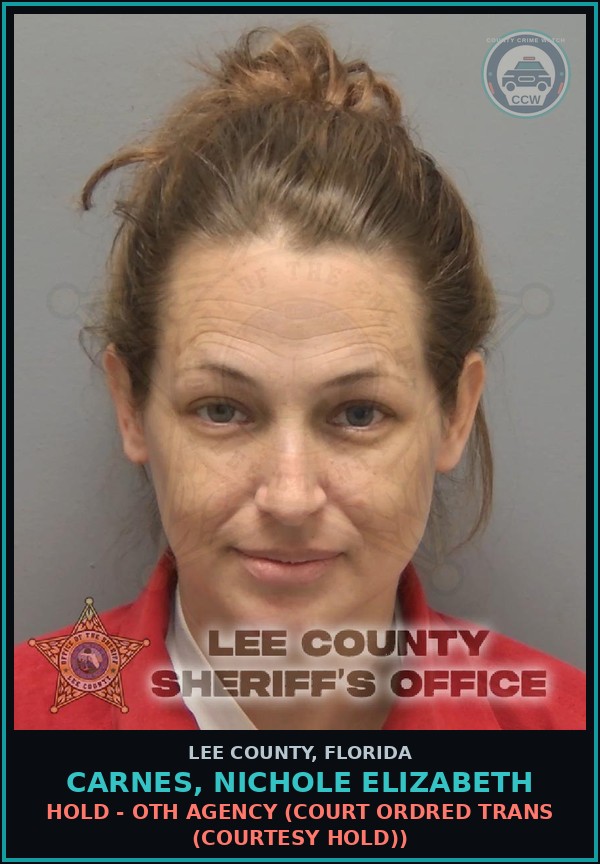 Booking mugshot of CARNES, NICHOLE ELIZABETH in Lee County