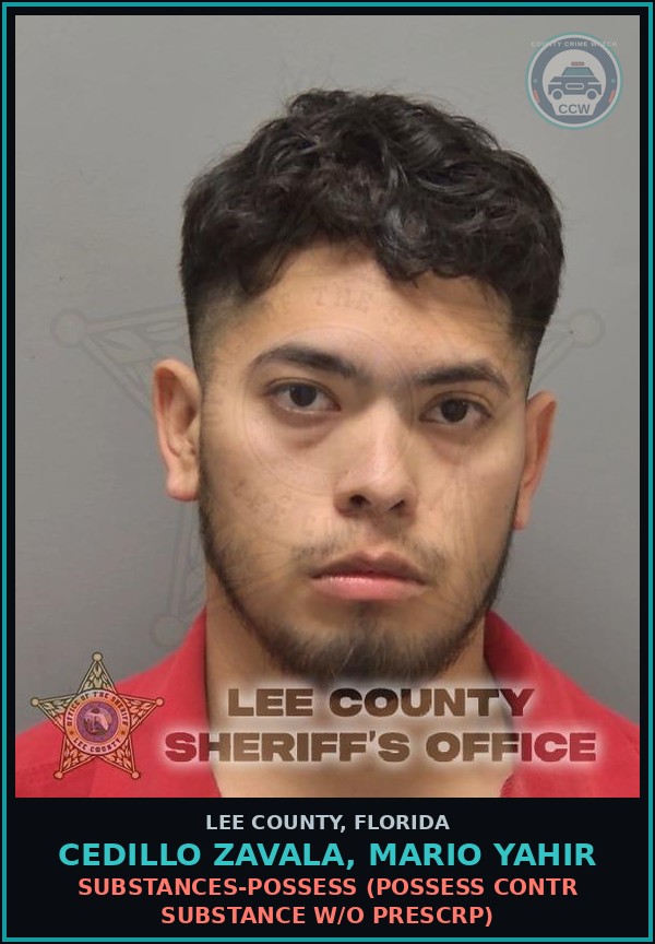 Booking mugshot of CEDILLO ZAVALA, MARIO YAHIR in Lee County