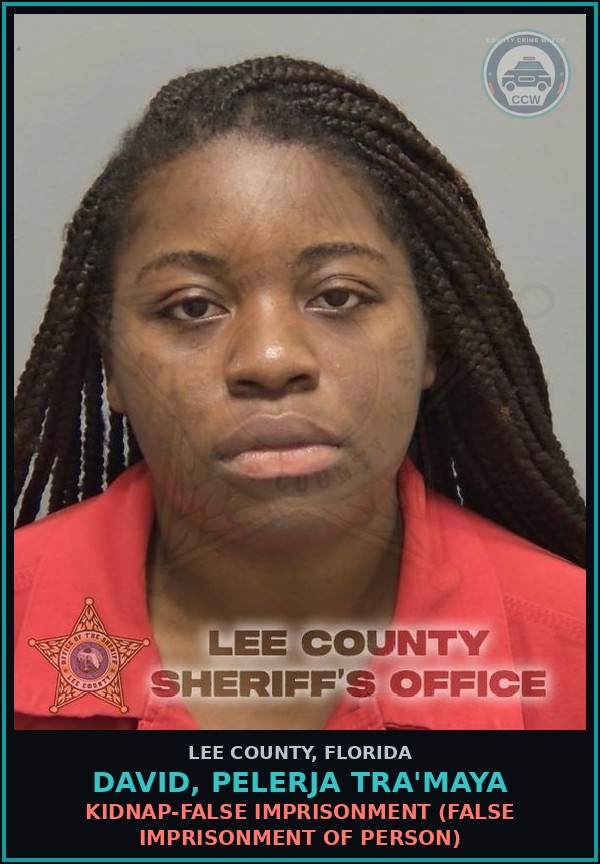 Booking mugshot of DAVID, PELERJA TRA'MAYA in Lee County
