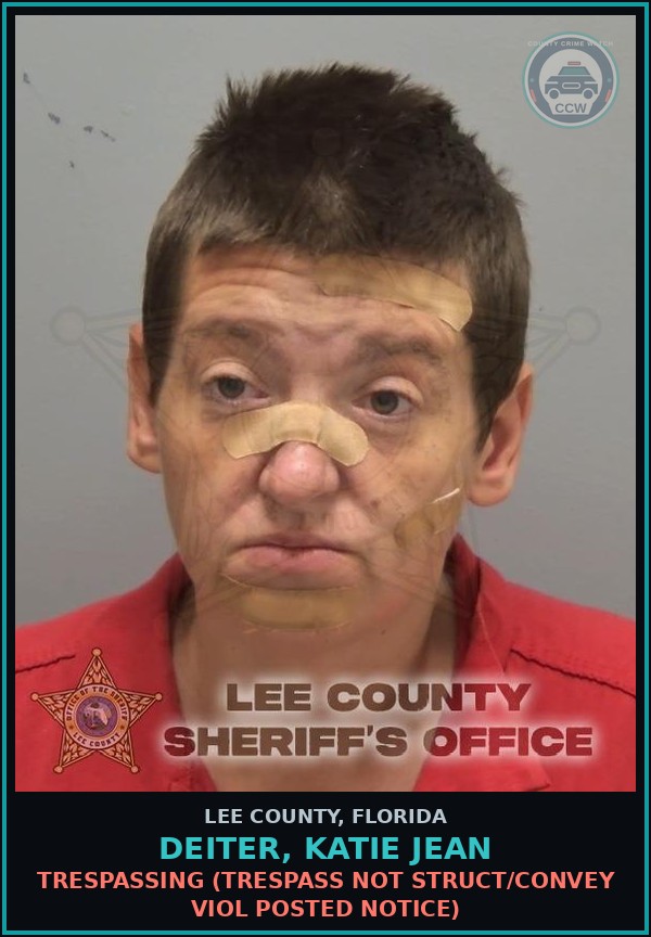 Booking mugshot of DEITER, KATIE JEAN in Lee County