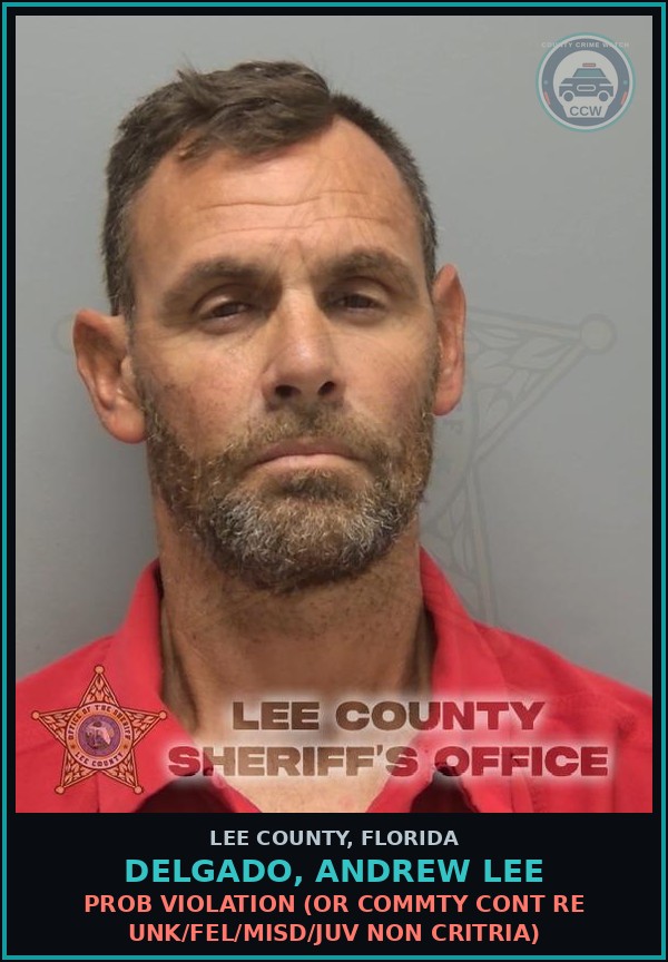 Booking mugshot of DELGADO, ANDREW LEE in Lee County