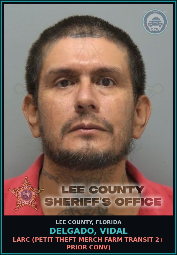 Booking mugshot of DELGADO, VIDAL in Lee County