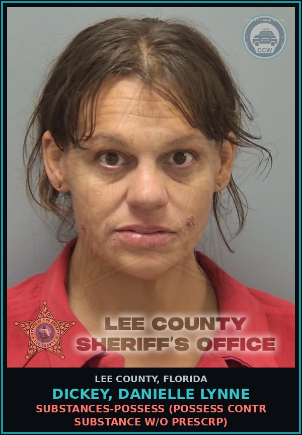 Booking mugshot of DICKEY, DANIELLE LYNNE in Lee County