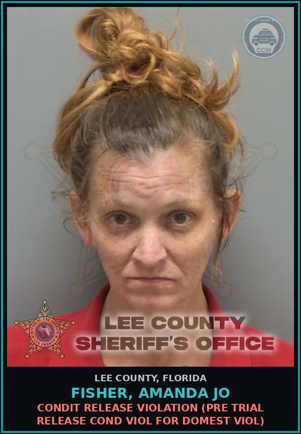 Booking mugshot of FISHER, AMANDA JO in Lee County