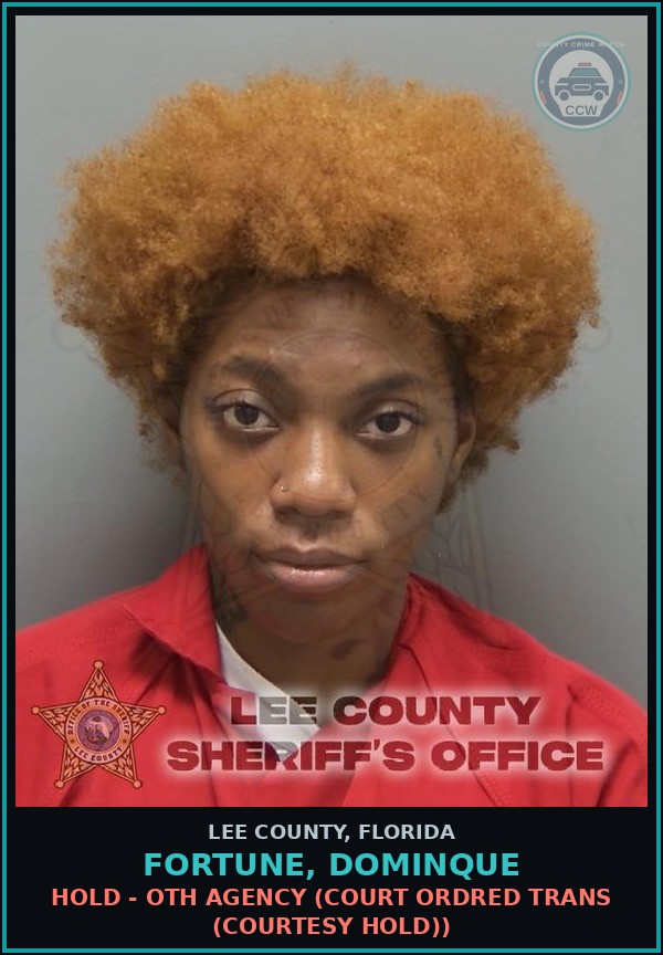 Booking mugshot of FORTUNE, DOMINQUE in Lee County