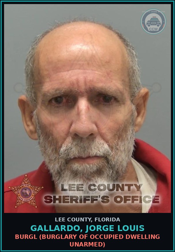 Booking mugshot of GALLARDO, JORGE LOUIS in Lee County