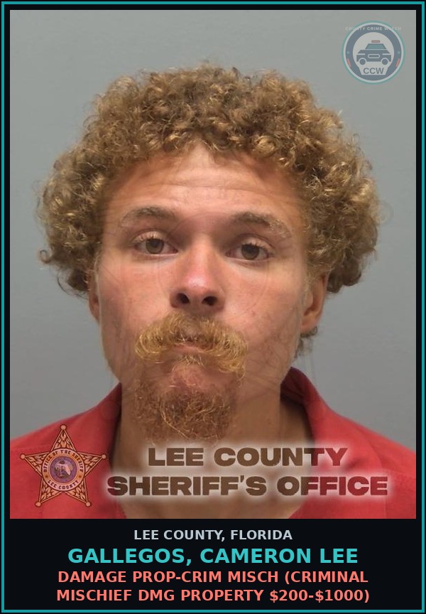 Booking mugshot of GALLEGOS, CAMERON LEE in Lee County