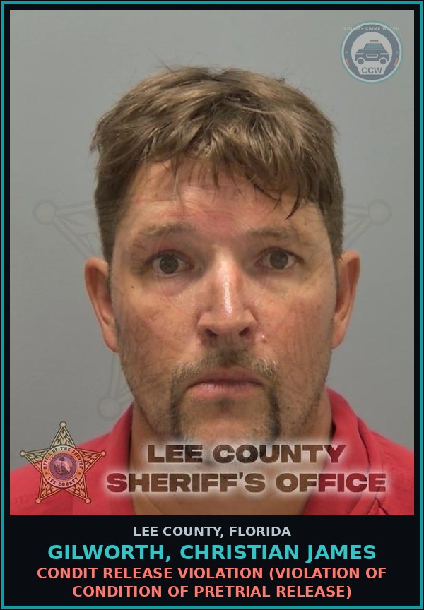 Booking mugshot of GILWORTH, CHRISTIAN JAMES in Lee County