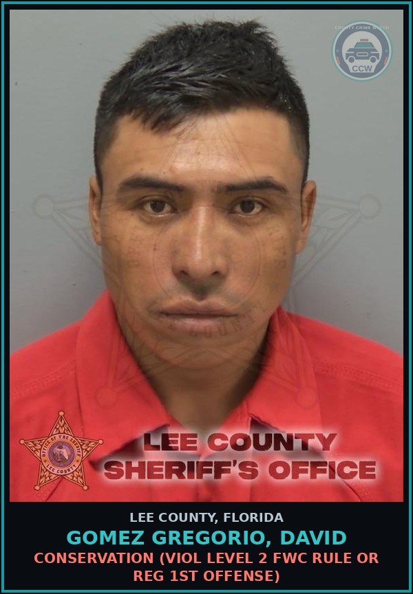 Booking mugshot of GOMEZ GREGORIO, DAVID in Lee County