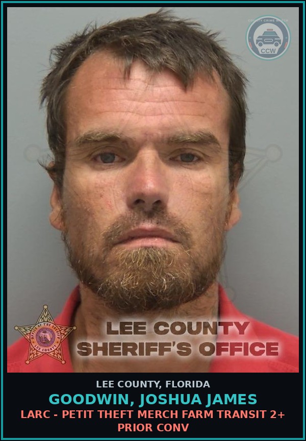 Booking mugshot of GOODWIN, JOSHUA JAMES in Lee County
