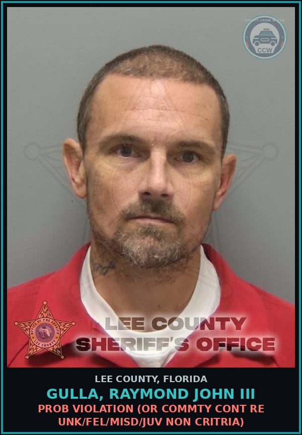 Booking mugshot of GULLA, RAYMOND JOHN III in Lee County
