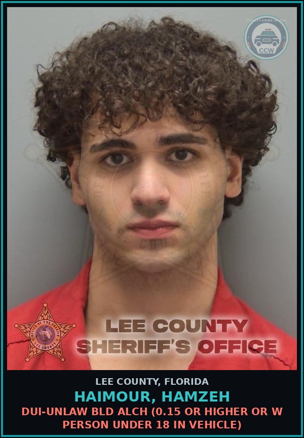 Booking mugshot of HAIMOUR, HAMZEH in Lee County