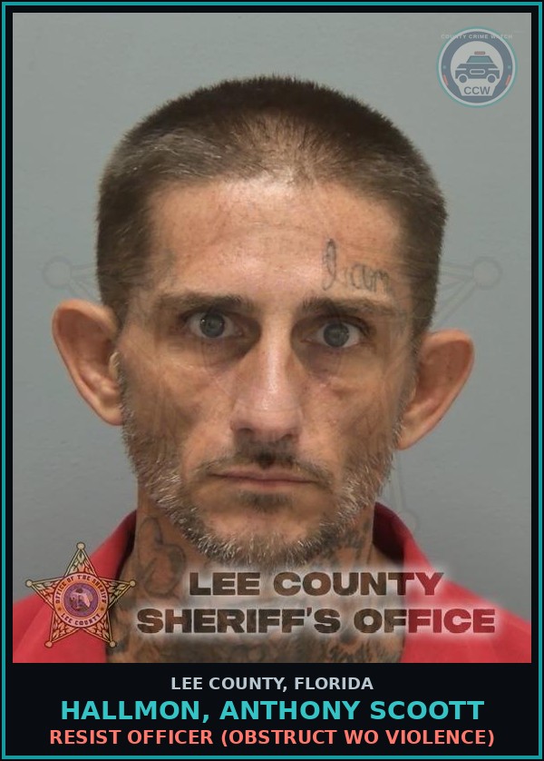 Booking mugshot of HALLMON, ANTHONY SCOOTT in Lee County