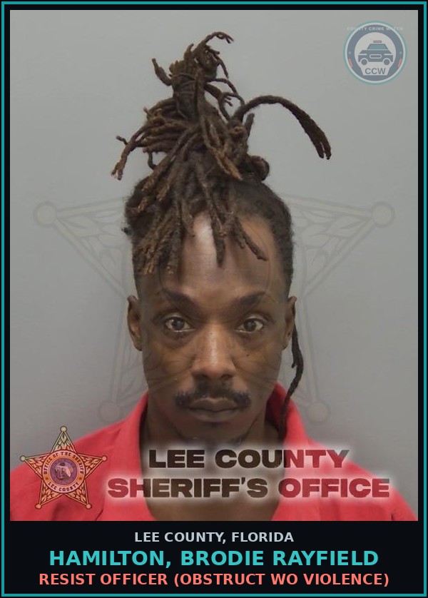Booking mugshot of HAMILTON, BRODIE RAYFIELD in Lee County