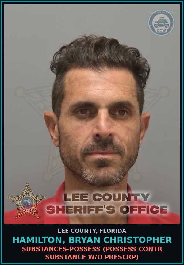 Booking mugshot of HAMILTON, BRYAN CHRISTOPHER in Lee County