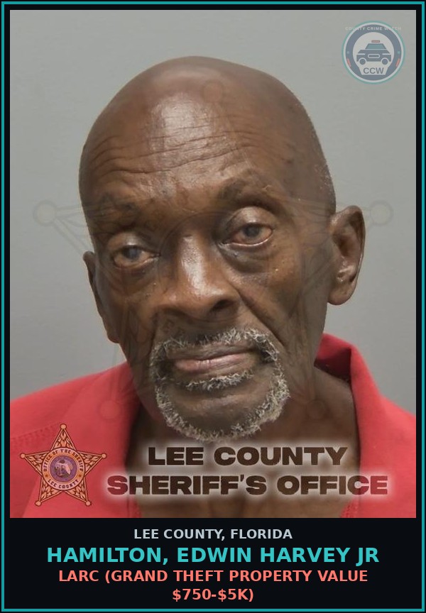 Booking mugshot of HAMILTON, EDWIN HARVEY JR in Lee County