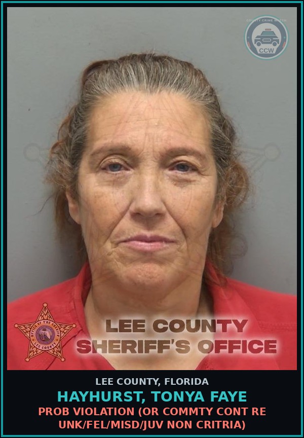Booking mugshot of HAYHURST, TONYA FAYE in Lee County