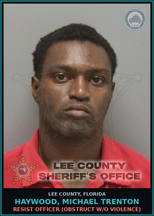 Booking mugshot of HAYWOOD, MICHAEL TRENTON in Lee County