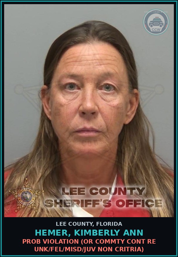 Booking mugshot of HEMER, KIMBERLY ANN in Lee County