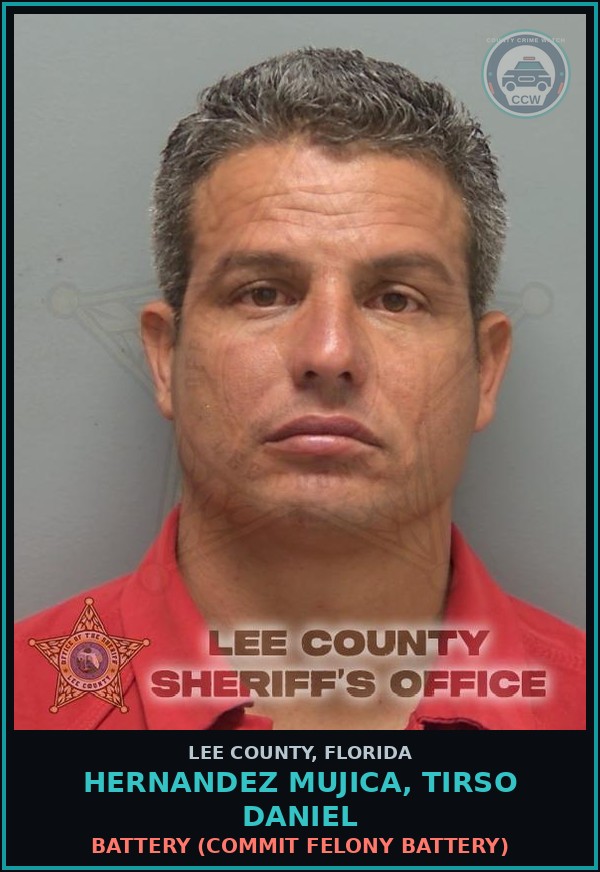 Booking mugshot of HERNANDEZ MUJICA, TIRSO DANIEL in Lee County