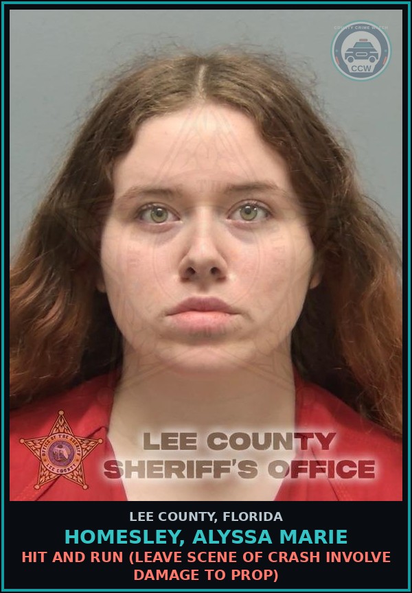 Booking mugshot of HOMESLEY, ALYSSA MARIE in Lee County