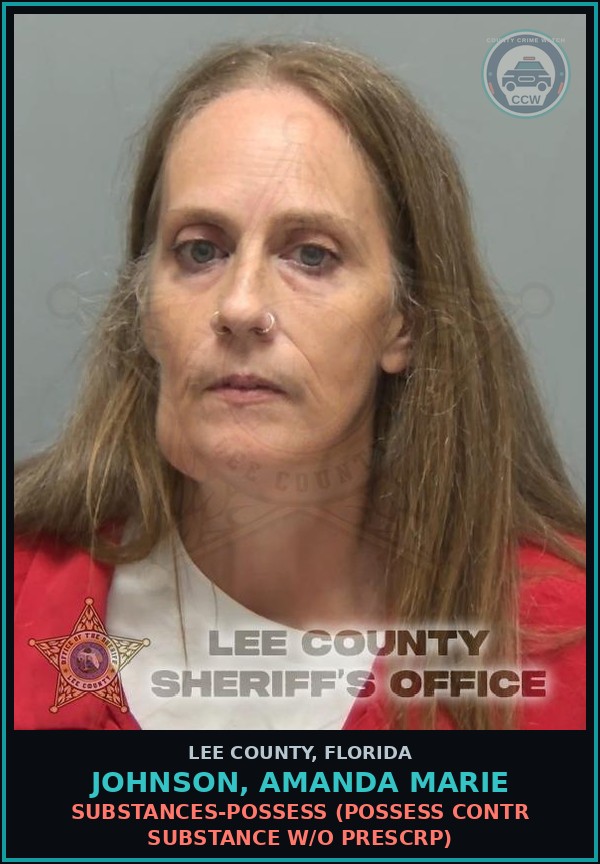 Booking mugshot of JOHNSON, AMANDA MARIE in Lee County