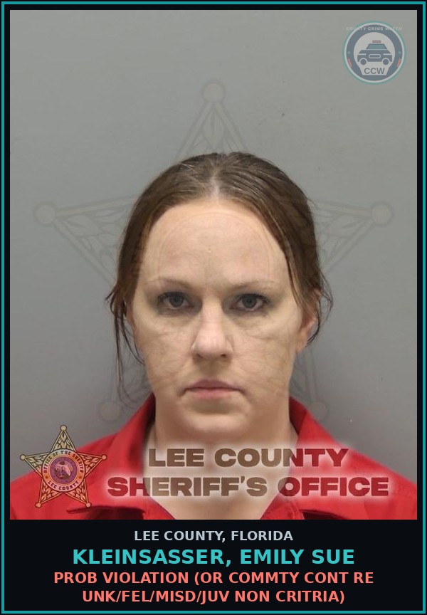 Booking mugshot of KLEINSASSER, EMILY SUE in Lee County