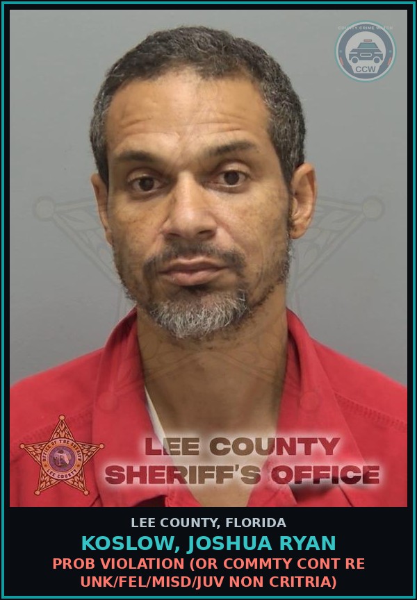 Booking mugshot of KOSLOW, JOSHUA RYAN in Lee County