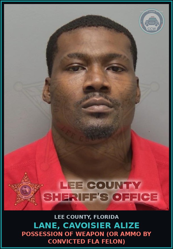 Booking mugshot of LANE, CAVOISIER ALIZE in Lee County