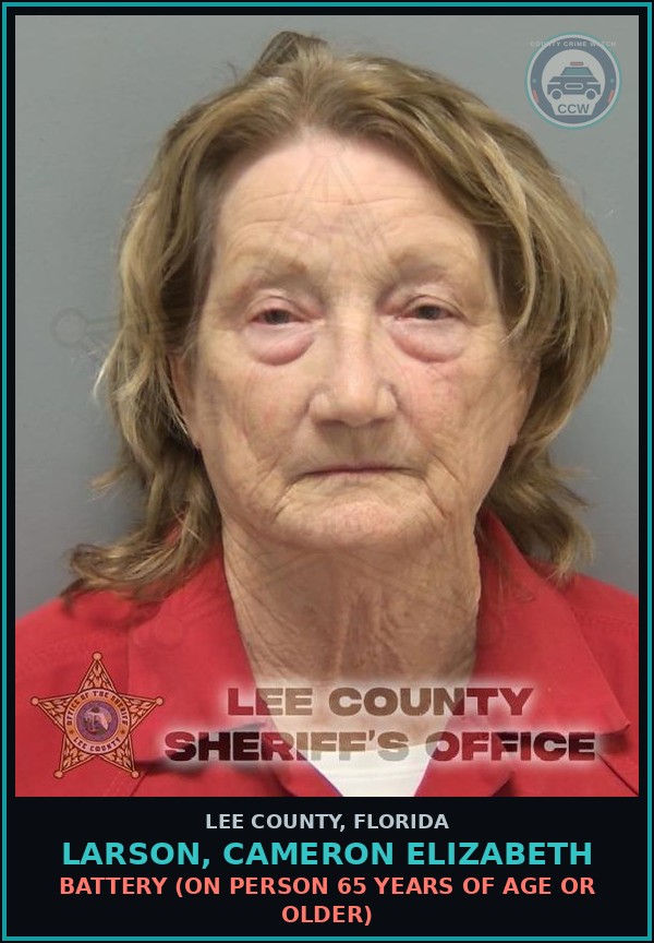 Booking mugshot of LARSON, CAMERON ELIZABETH in Lee County