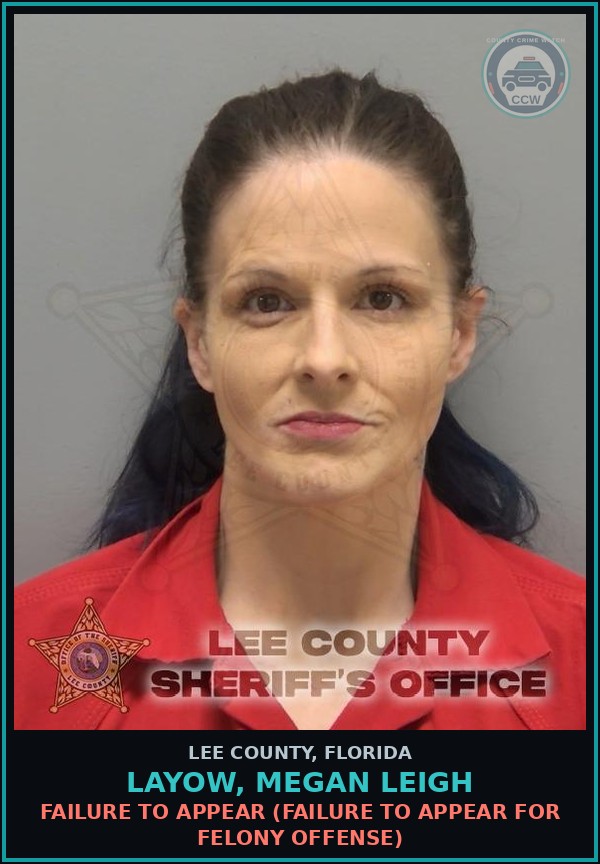 Booking mugshot of LAYOW, MEGAN LEIGH in Lee County