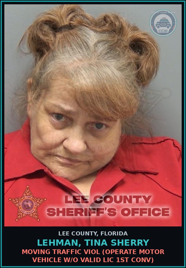 Booking mugshot of LEHMAN, TINA SHERRY in Lee County