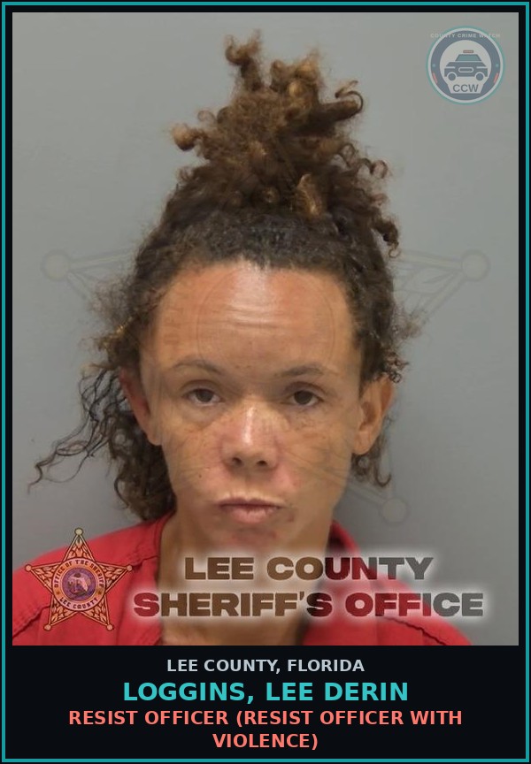 Booking mugshot of LOGGINS, LEE DERIN in Lee County