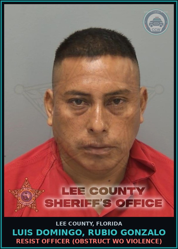 Booking mugshot of LUIS DOMINGO, RUBIO GONZALO in Lee County