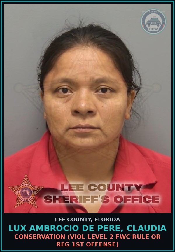 Booking mugshot of LUX AMBROCIO DE PERE, CLAUDIA in Lee County