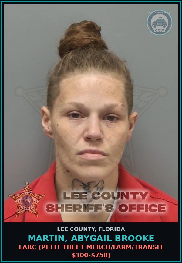 Booking mugshot of MARTIN, ABYGAIL BROOKE in Lee County
