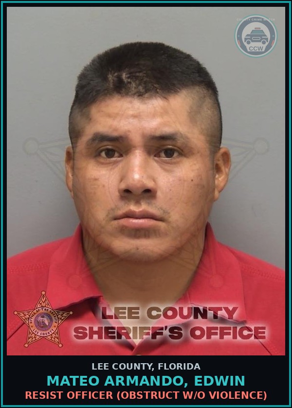 Booking mugshot of MATEO ARMANDO, EDWIN in Lee County