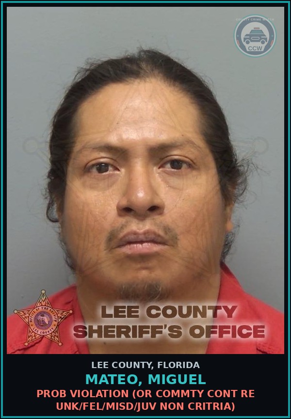 Booking mugshot of MATEO, MIGUEL in Lee County