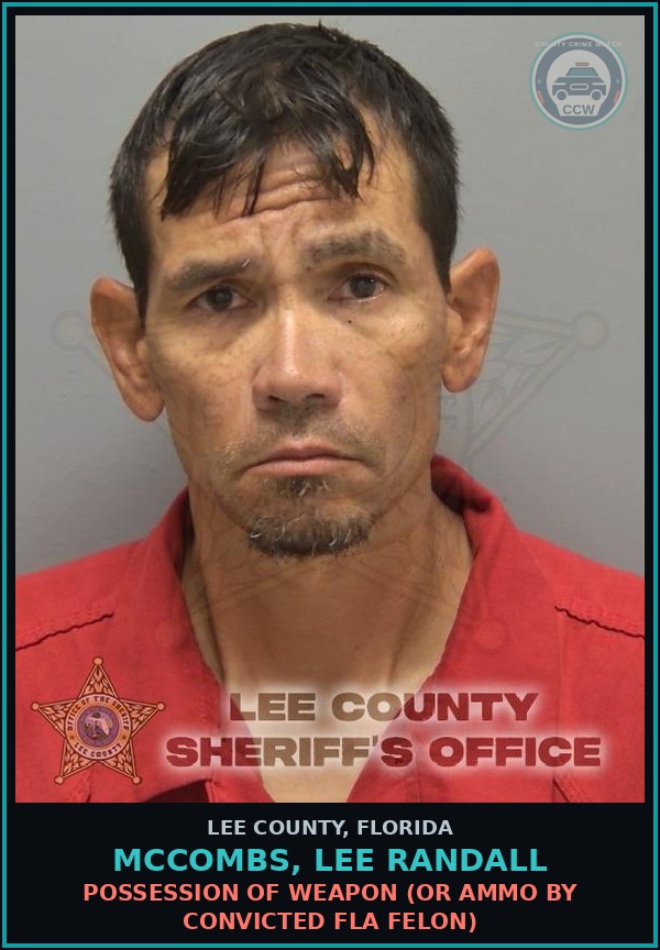 Booking mugshot of MCCOMBS, LEE RANDALL in Lee County