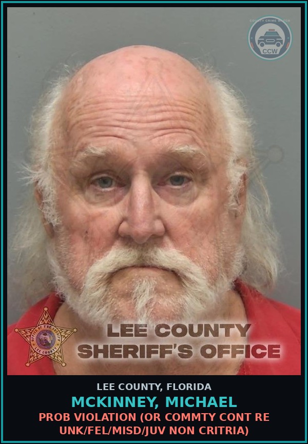 Booking mugshot of MCKINNEY, MICHAEL in Lee County