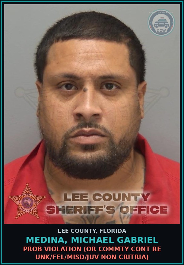Booking mugshot of MEDINA, MICHAEL GABRIEL in Lee County
