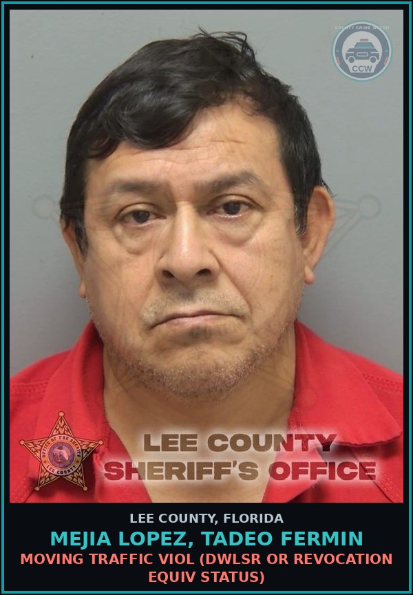 Booking mugshot of MEJIA LOPEZ, TADEO FERMIN in Lee County