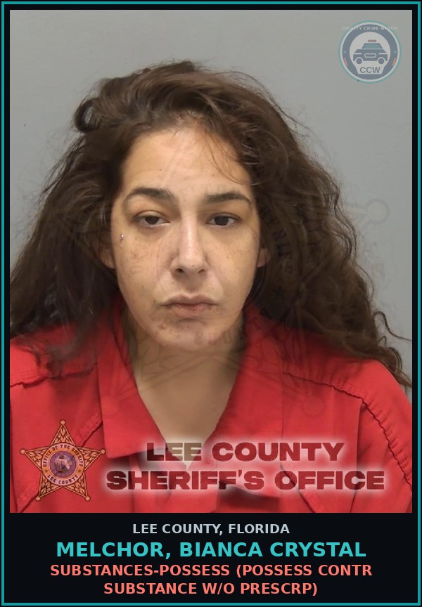 Booking mugshot of MELCHOR, BIANCA CRYSTAL in Lee County