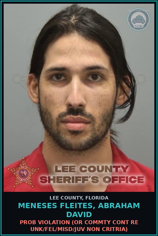 Booking mugshot of MENESES FLEITES, ABRAHAM DAVID in Lee County