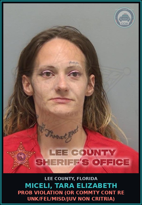 Booking mugshot of MICELI, TARA ELIZABETH in Lee County
