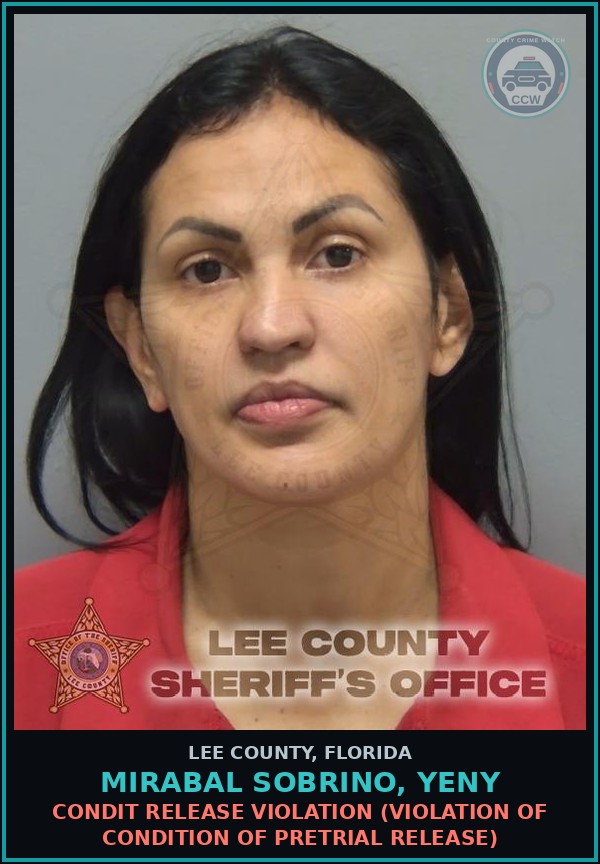 Booking mugshot of MIRABAL SOBRINO, YENY in Lee County
