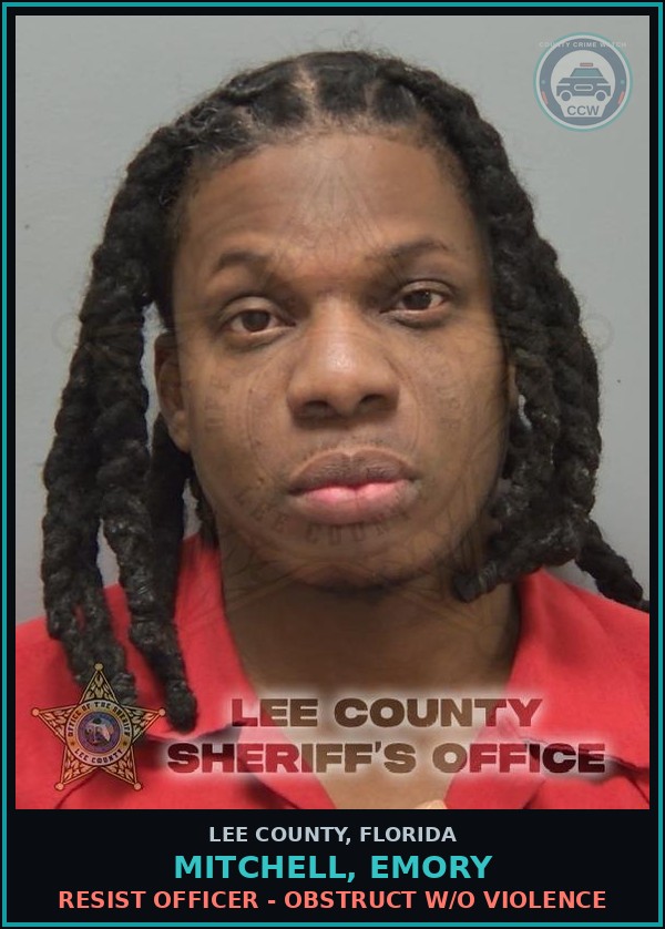 Booking mugshot of MITCHELL, EMORY in Lee County