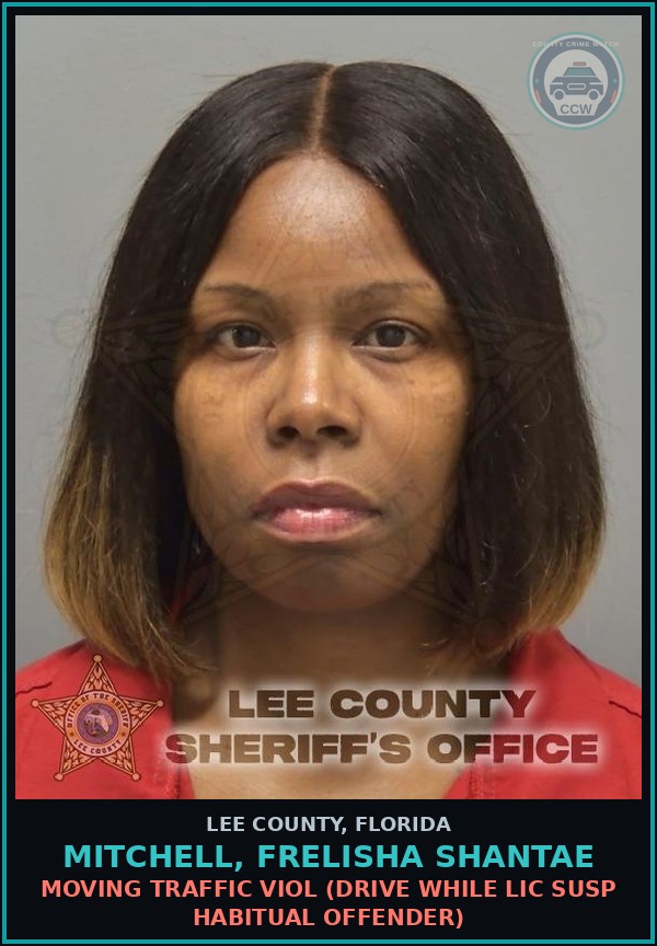 Booking mugshot of MITCHELL, FRELISHA SHANTAE in Lee County